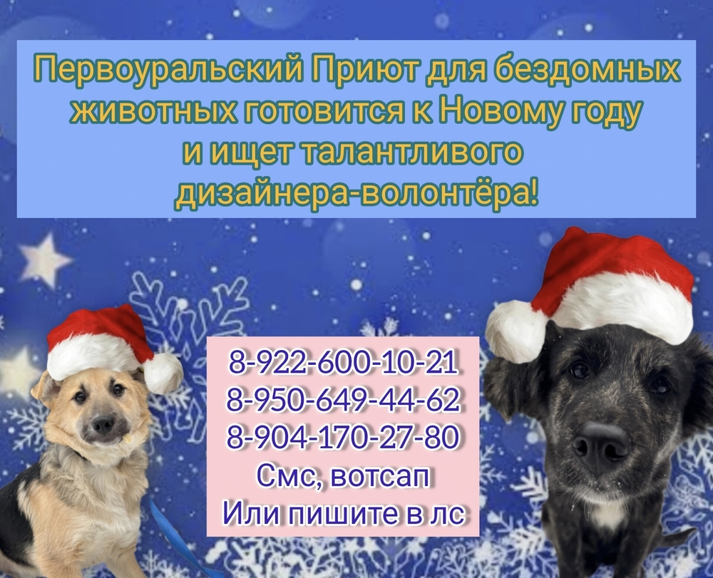 xLGdzdAjfdnEOpneDiyOWFdQGgI-TGpZ9TmSXWVF