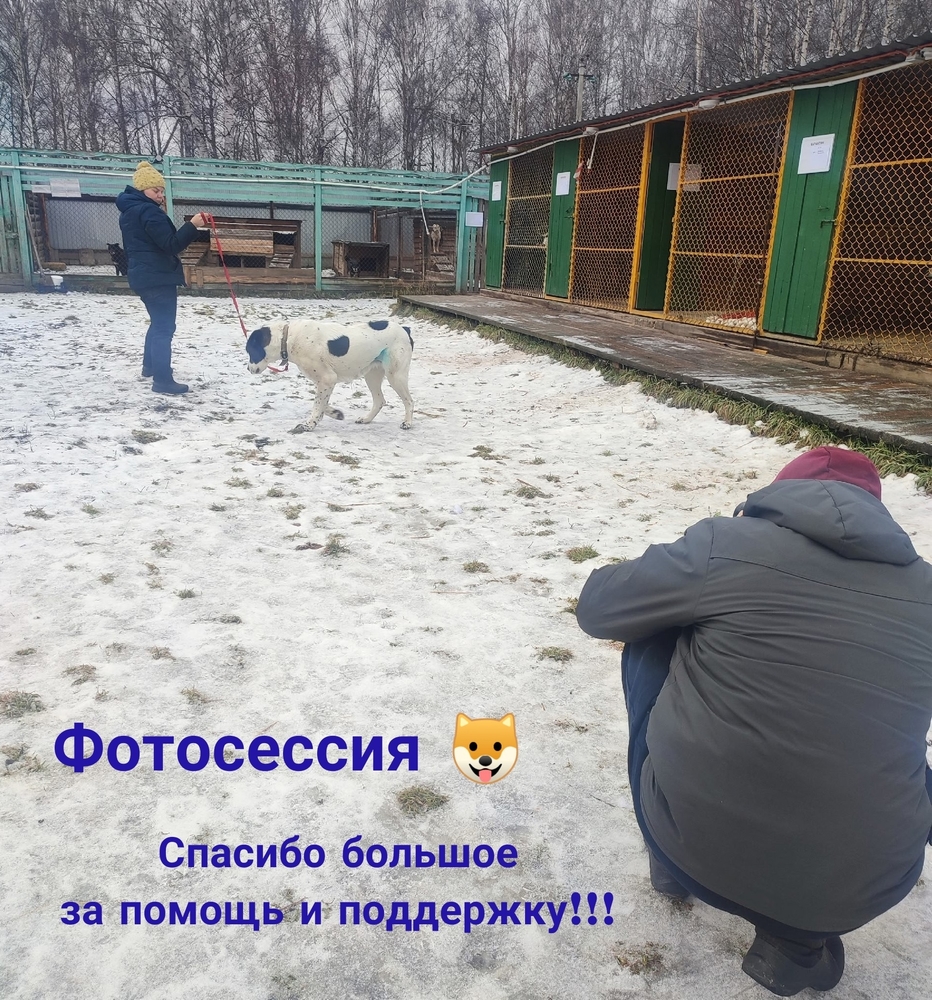 0nU72ih8Y2k1LHsmwK8cowkftLU3y1WPkl81LWo-