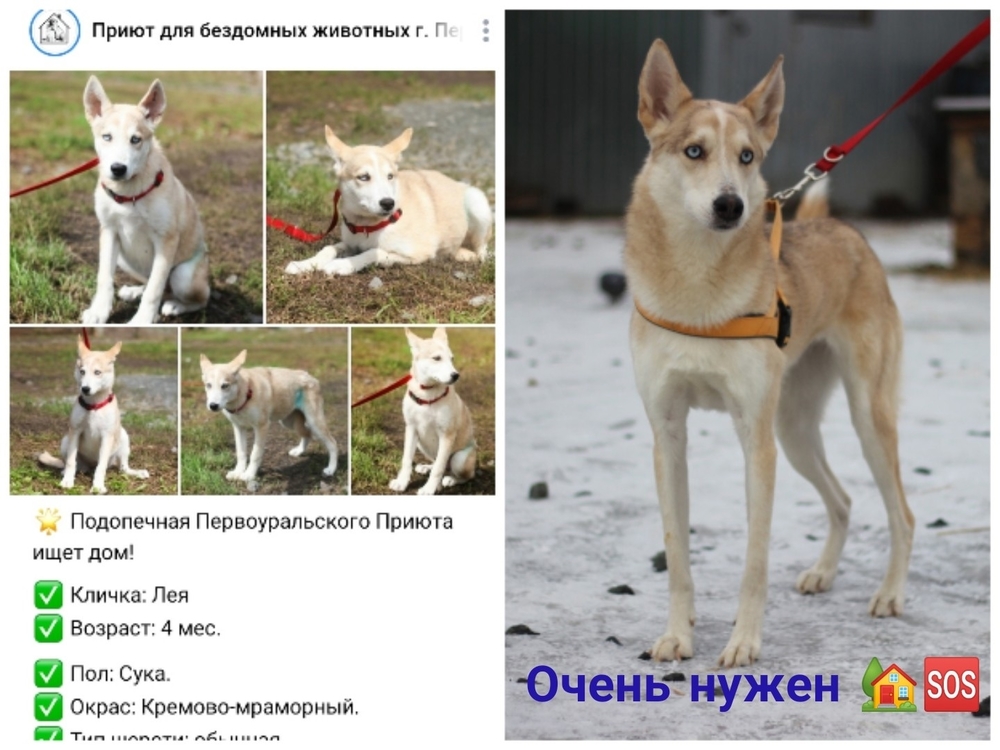 L0tBJnkXoyVbxszz8ojm0-9unut_O39qzJJCTZqX