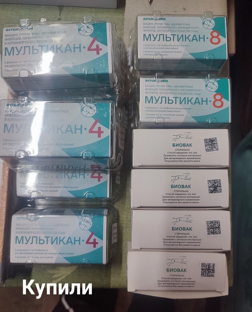 RZXqeihl5MmUP0EPfdDzfUTcTq1HjmyD_zG_W9Gp