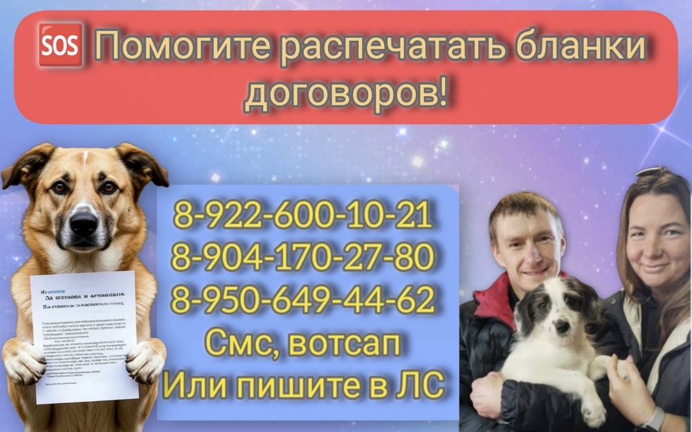 l-anzUWTQQ8F4NW-581DvuaN6p42mSnIpR-7QoWR