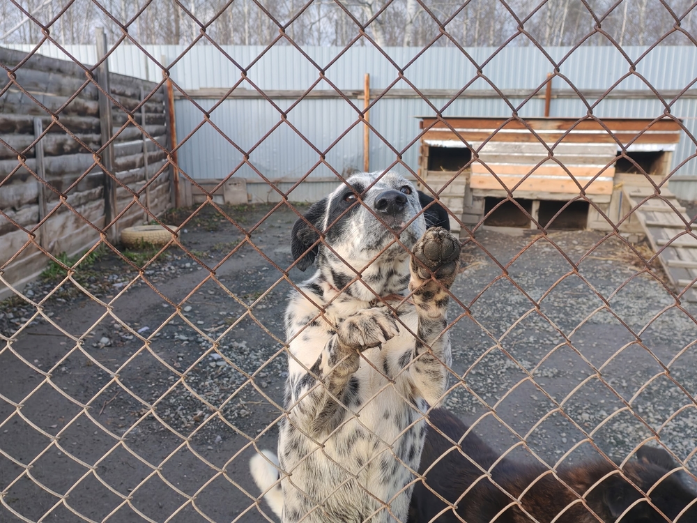 2czFXrPaZJBfQYpdu4JsASR0NTA0mTWORgErsZ-m