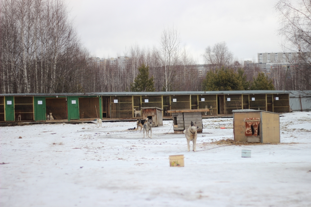 yNnQ820kJlhoJ_n87WQ0hLRxOXpRGIEmCq1d5z2-