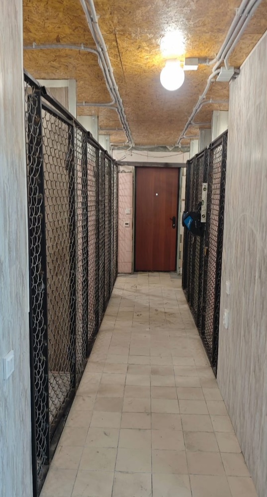 6bvrWIUyiM_aTvmm_mBDyfCeusmgmtqsNoE_Ij2q