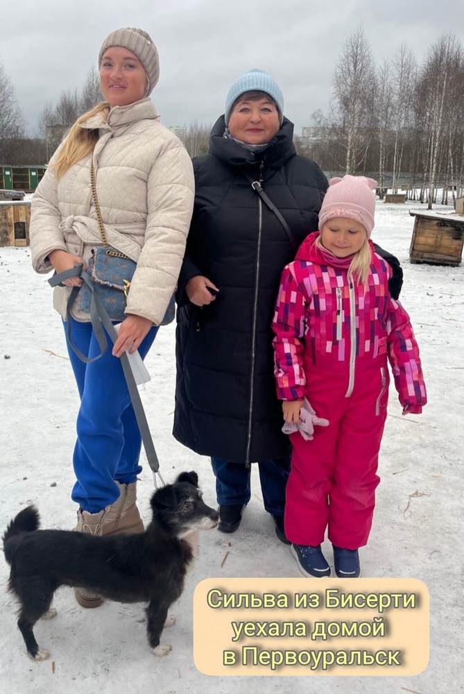 R-jadSv9S5Y-W5eFlcKy9fGlb93-4PHzy5xp3cR1