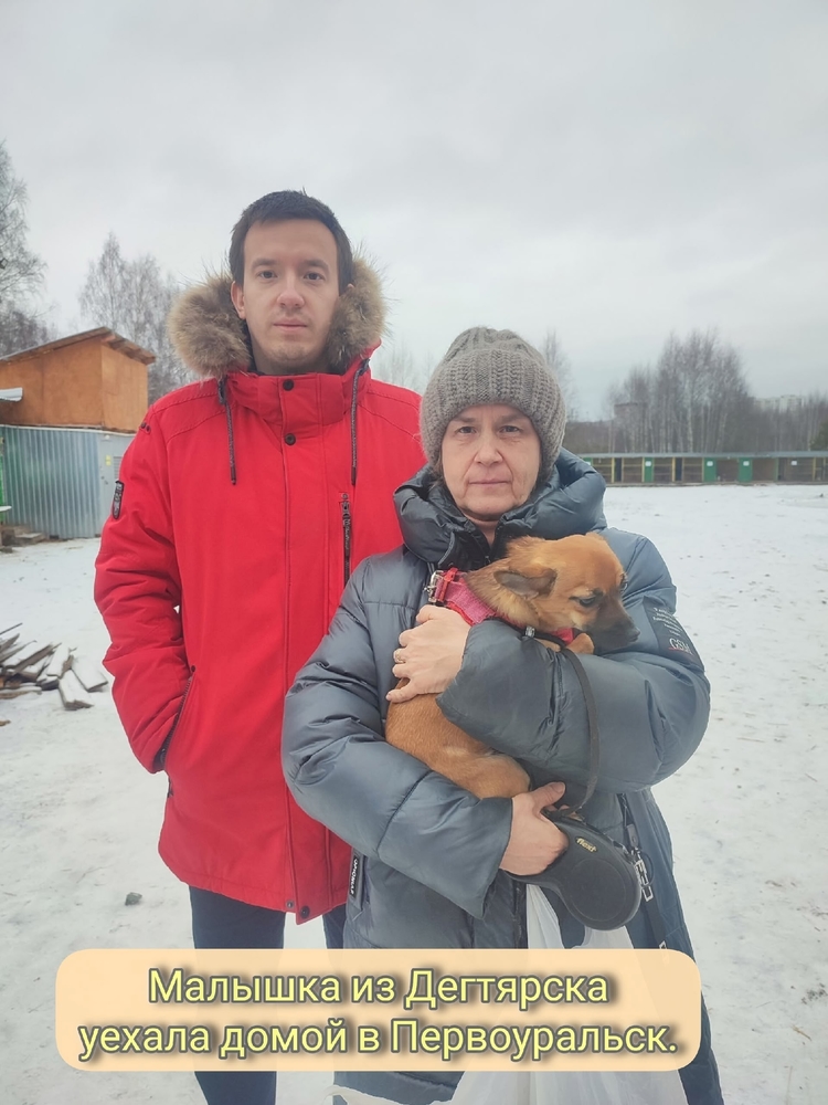 VMv318fPT0maL8Wyn40hfameH0N1xV3AUtWTWlk_