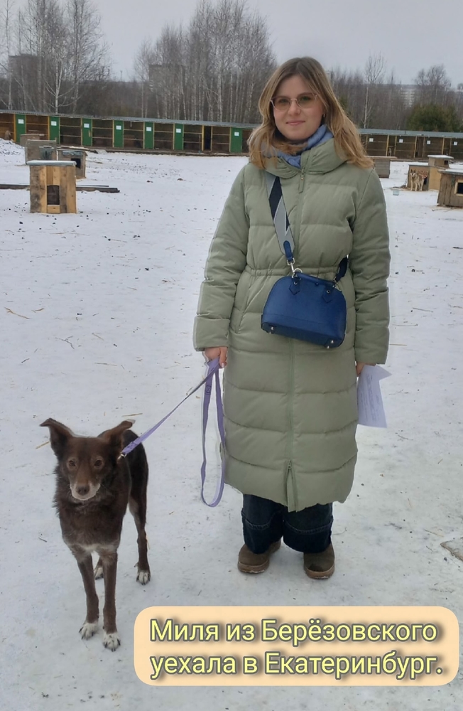 1ggSlCSJl18fozojoUVqCA9FhJubEsTGeN4tNRtV