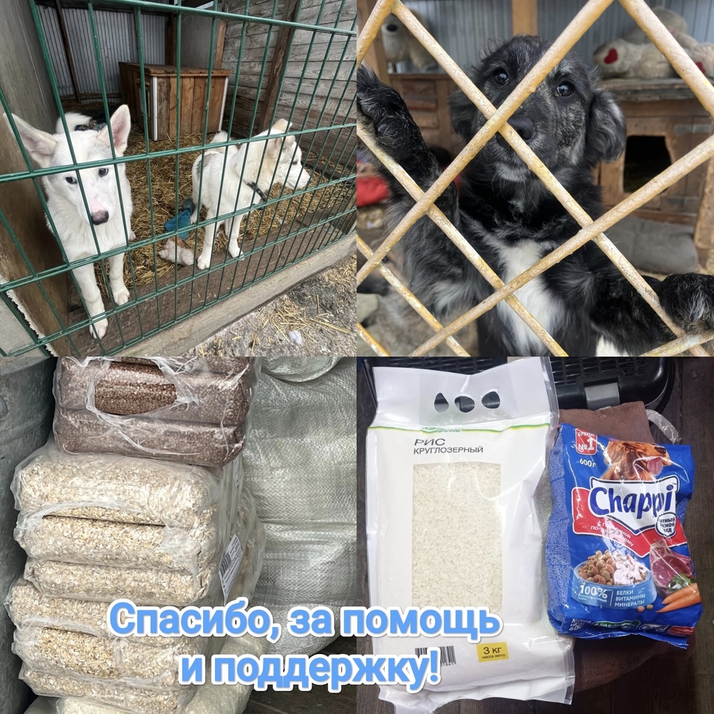 5fFGJZzqffSxj-t9SkYSS8HRY8gV4uxg87VG61IN