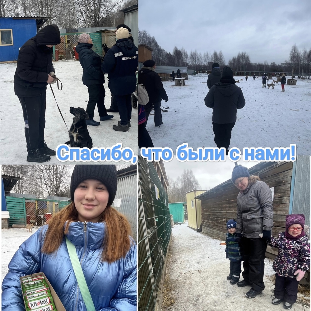 vwvjErQCGAZaFU-H4Ug98BEEi9fqyj-OXVzxiy_O