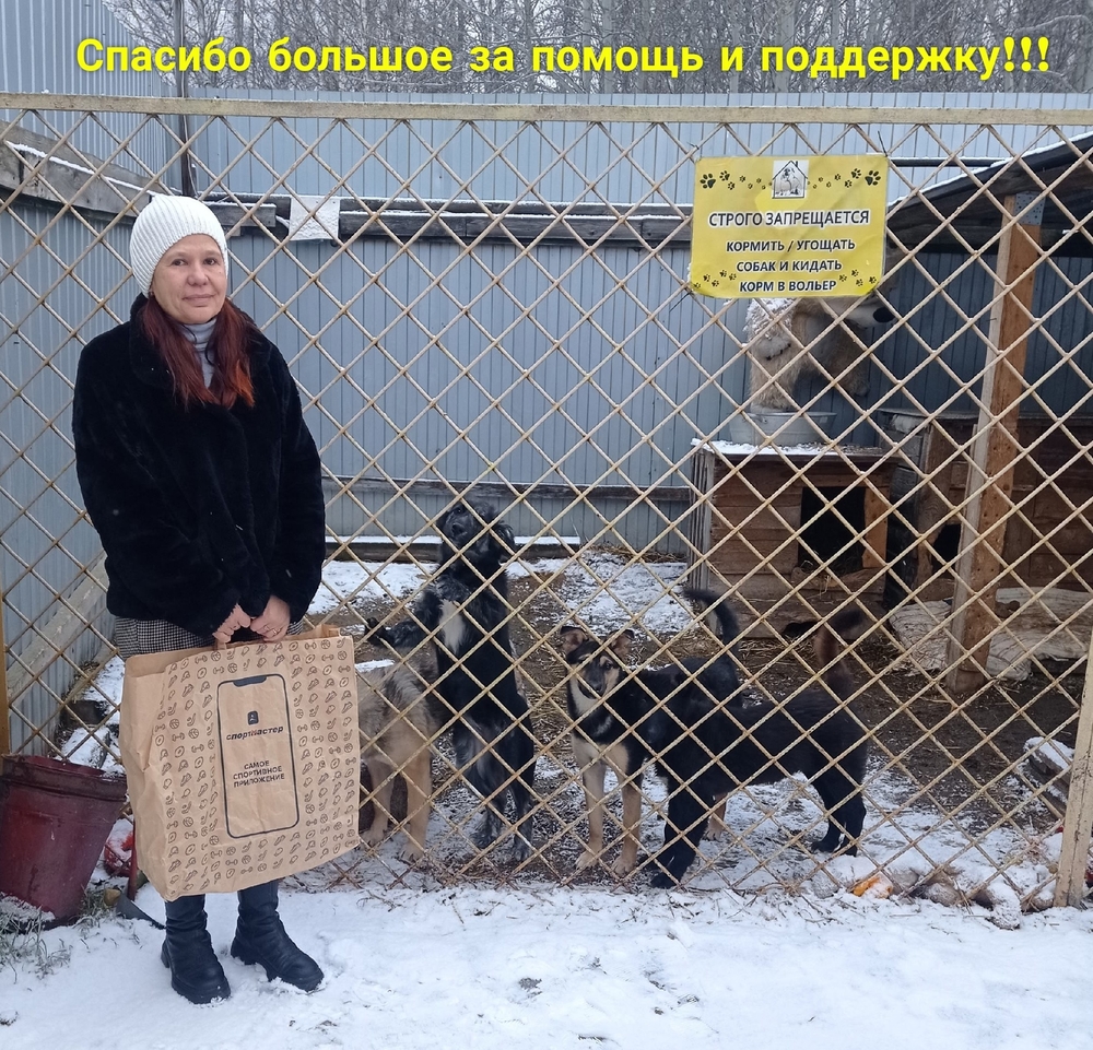 CCYX6sbrxtU19yDjmXnN4qqLCy2sPi20TQL9FKZ8