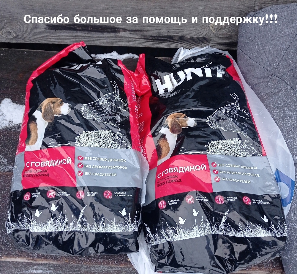 Fd2QL6OBcUEAC2YkxUSzFt-vqHseH33-KMke_H1H