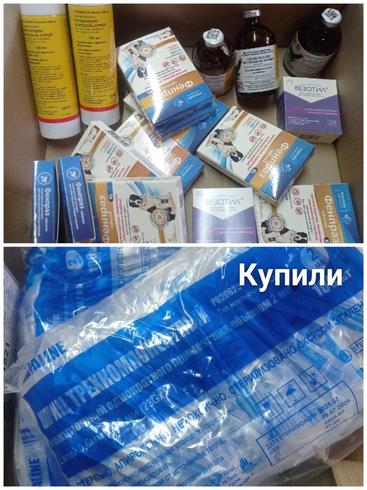 IGMvyeg9Bjodjr9SchuavQ5TDV_oL3YVK0WE8lWt