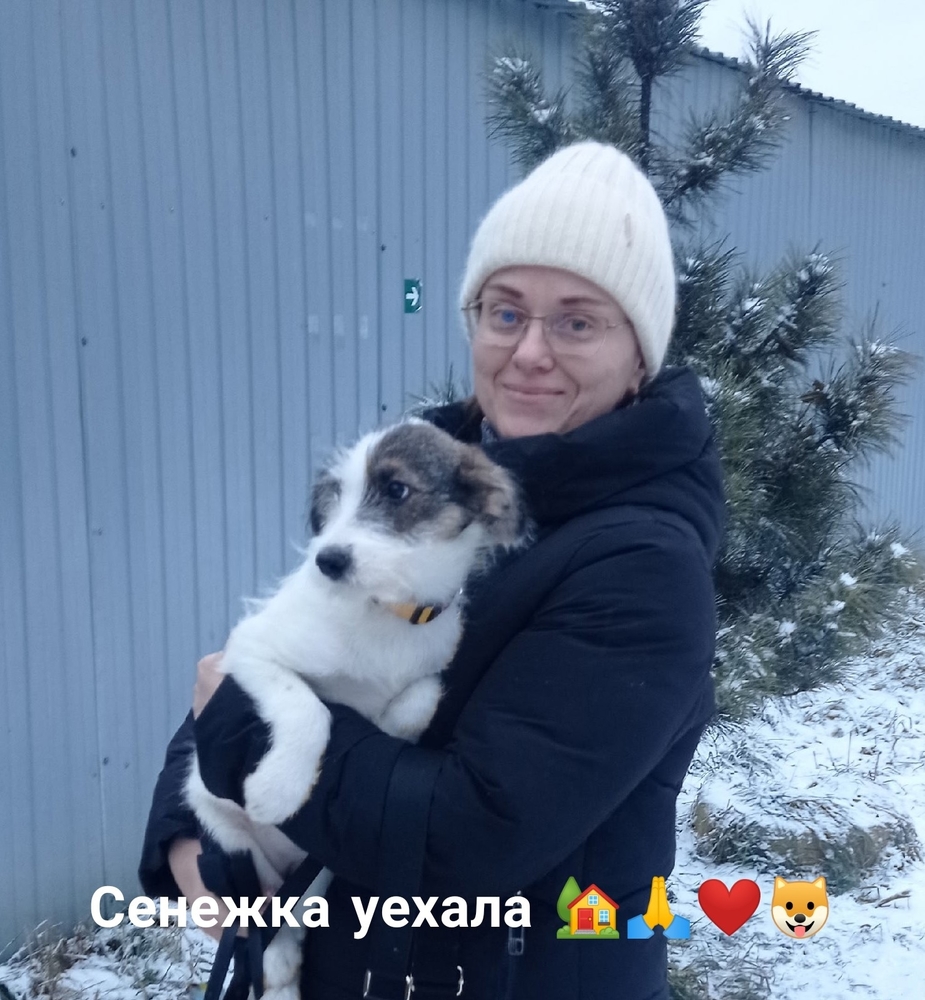 UOeeBqOcsj1sPlJIyksHUlRk6t7Q6fI0uaAdVdLg