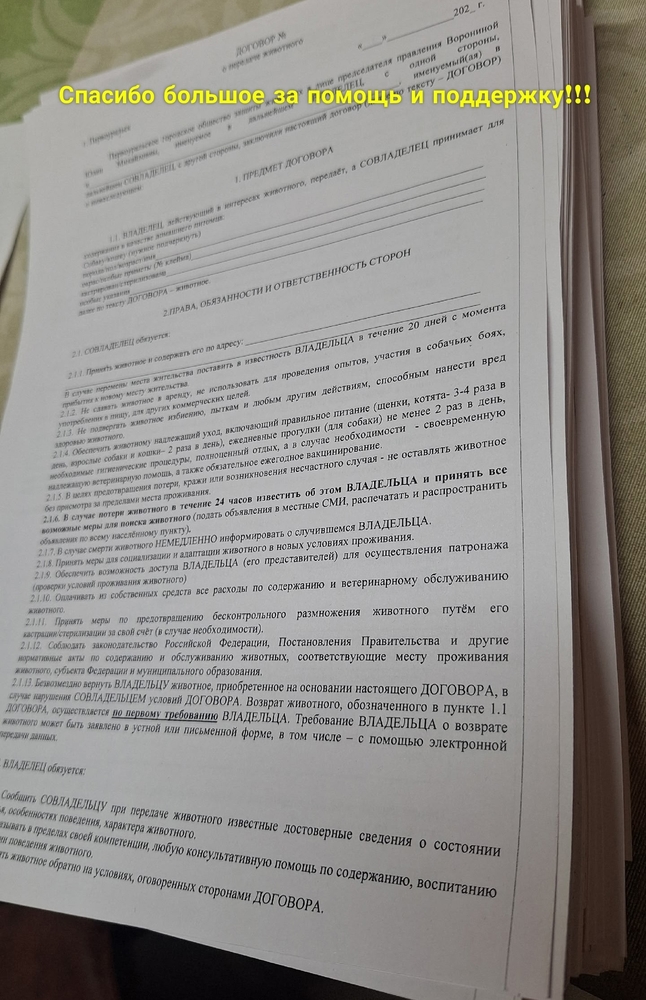 u7NbmErF38iLsPcZOK2CDsoh2aZnmS7OpacU-PYg