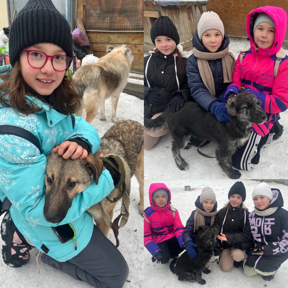 7jp4R_RVnkOpmiix_JfjrZmhznvI-yCHx3A3YorB