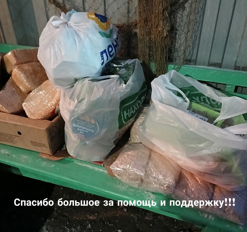 EhSTOQtrd90MTaWxvJxw2KHH7W-IHTnOowvApMVf