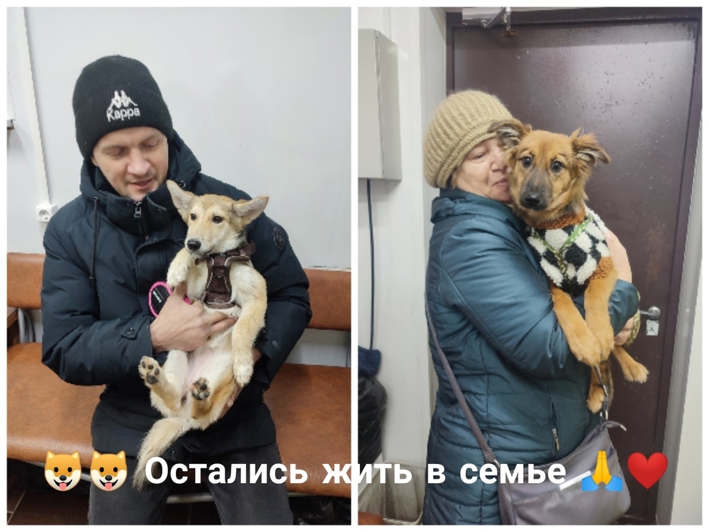 V-upKTcBS-r-z_NkKv3nXH-6QXNg948q9wkcln2G