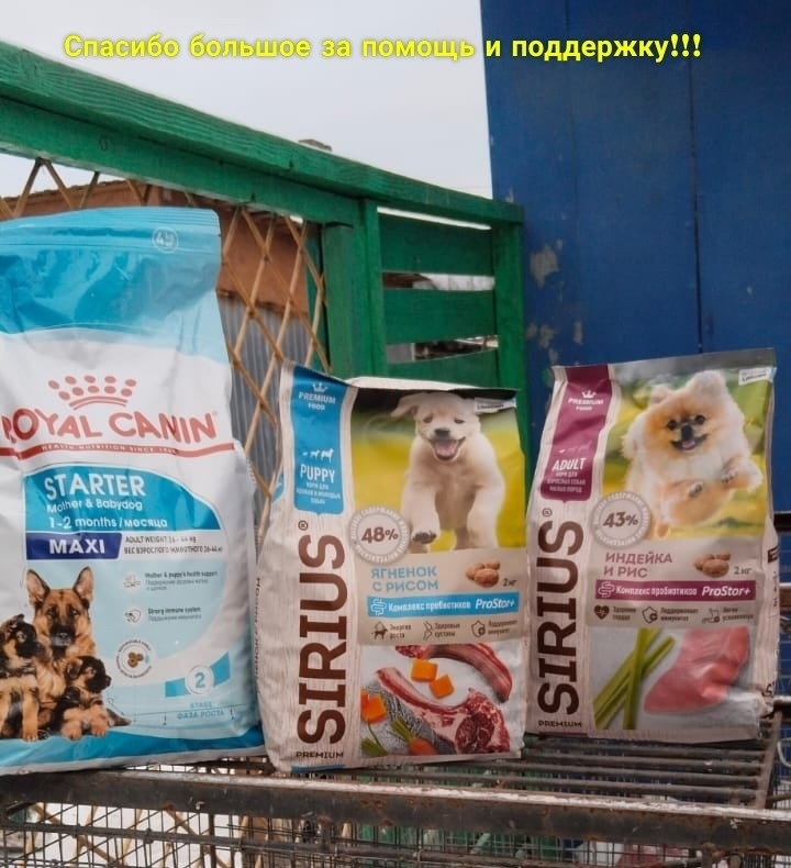 V-UtkpDYcTrYb7F-c3AkCS43VdIfIsJmSOKpwv9v