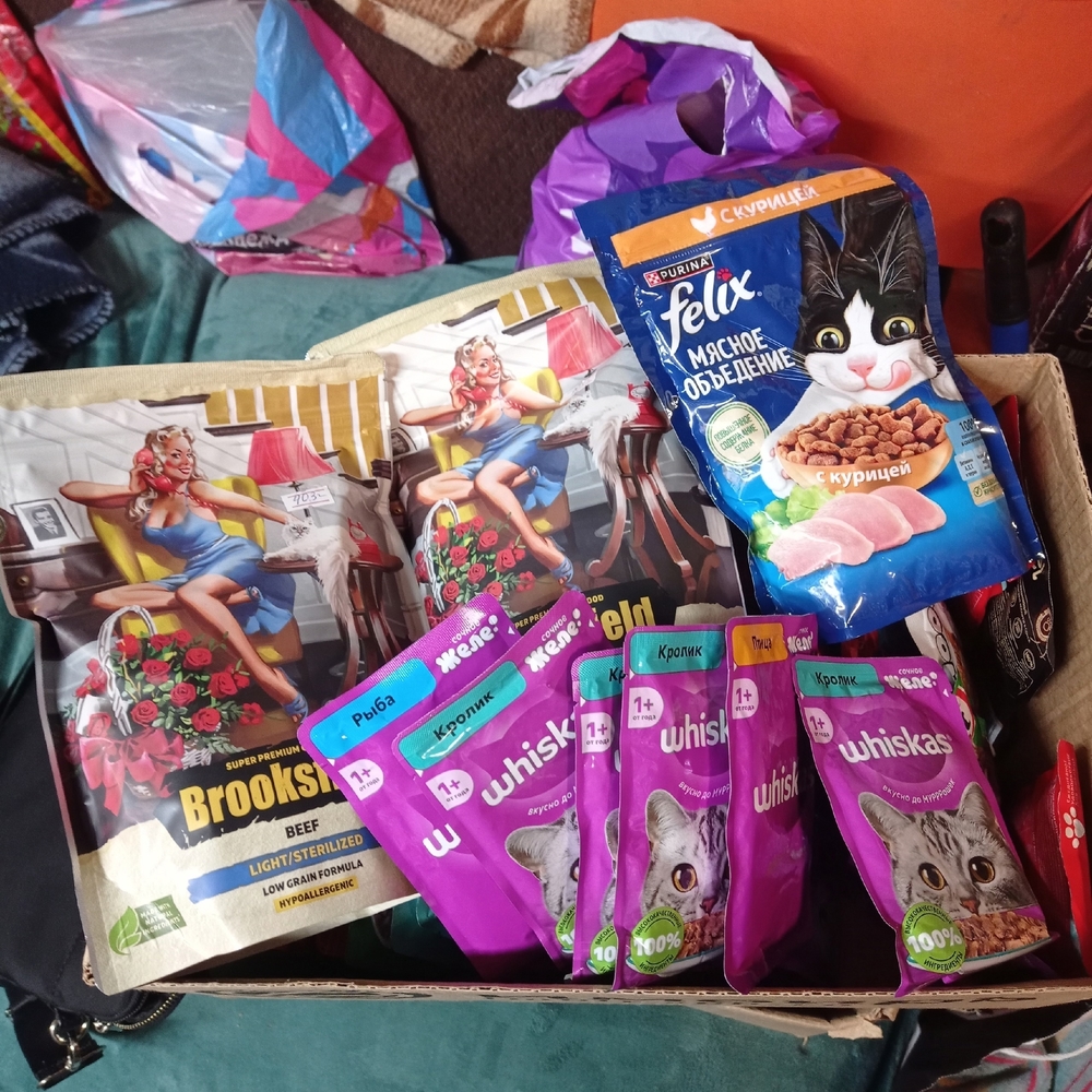 UTteIgqHtJKCQcLWfVCd8MDXM6F13E76UQS2yx26