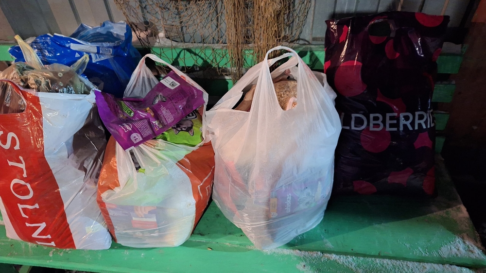 SP76s4-wvcmvNsAWdWWK55YBGFfqrO1mqG41S5mh