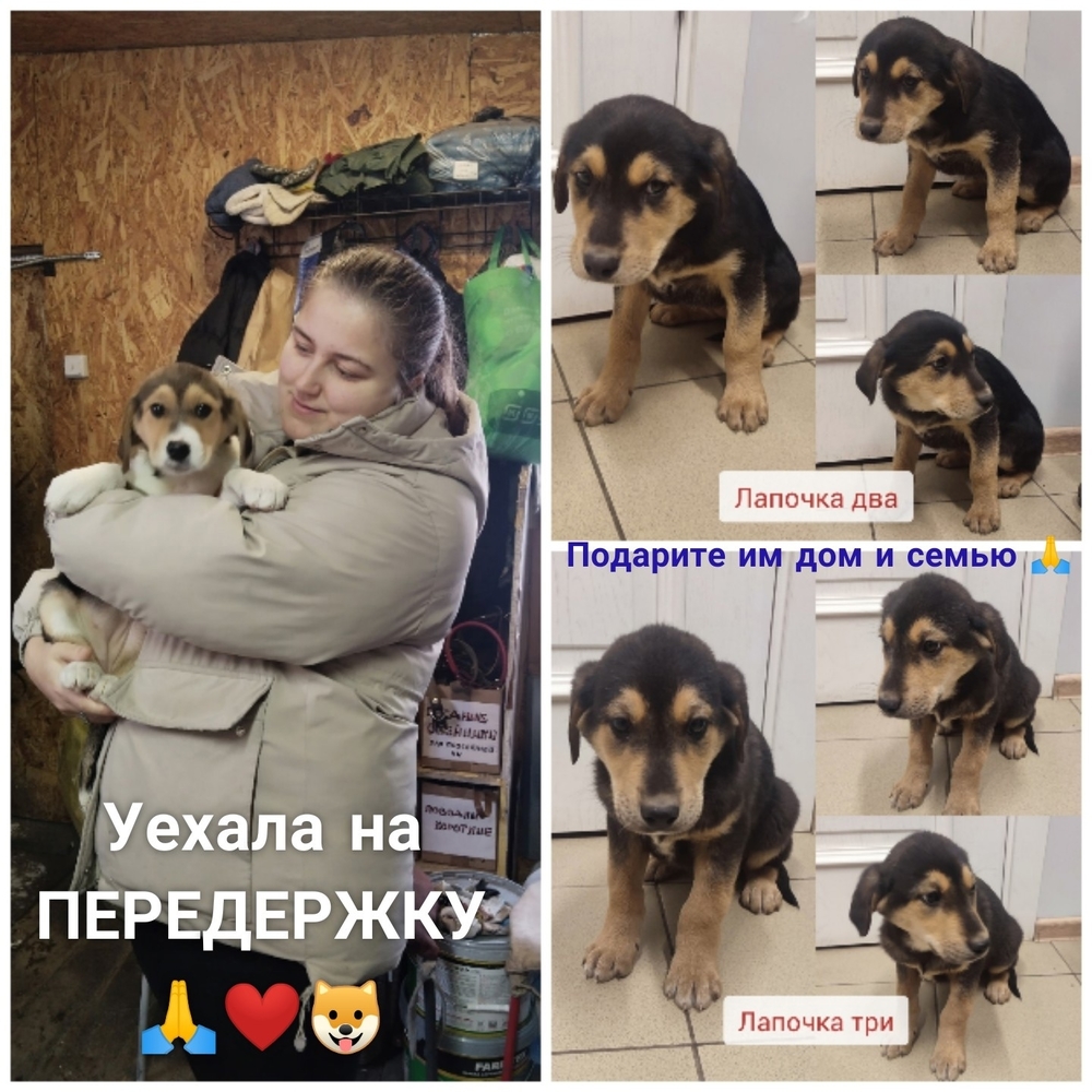 M3krOoq06trKykcIExM3JtGlQryOeOLgay0yfkO3