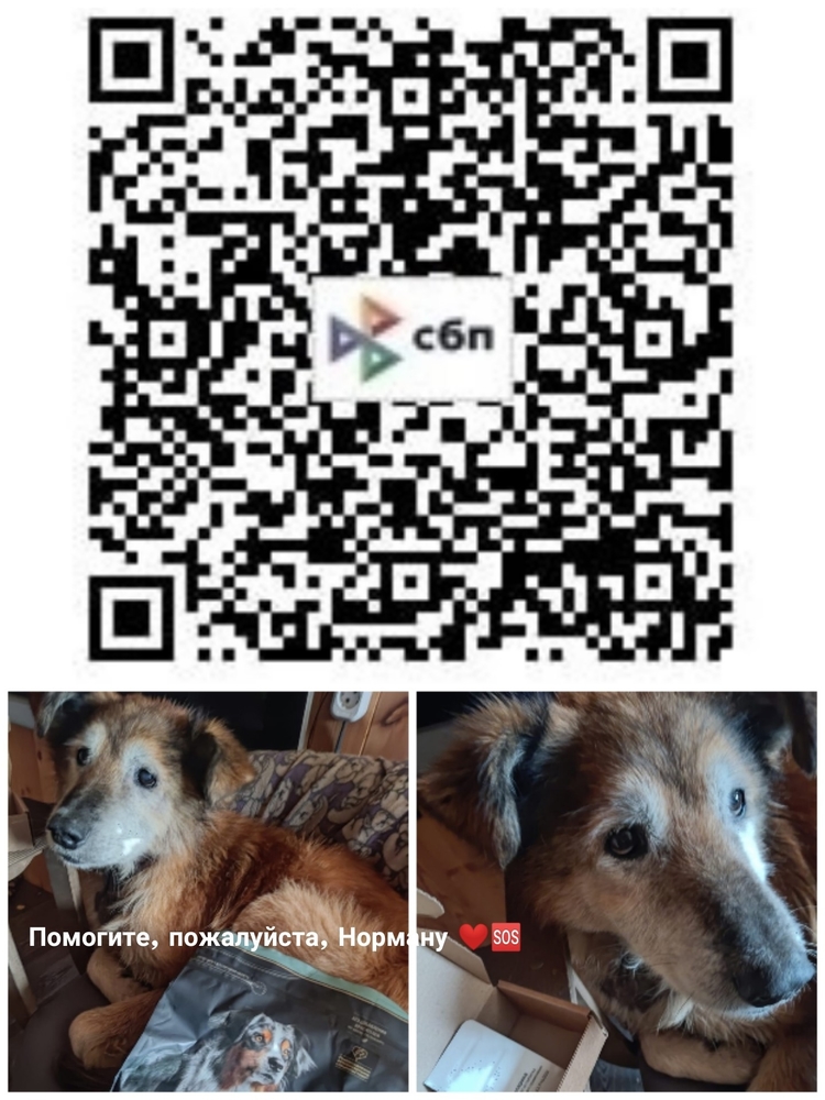 z5mz7q98vPQY8Nm7rF5_ZwRpJLqfxXlv81iDbWeZ