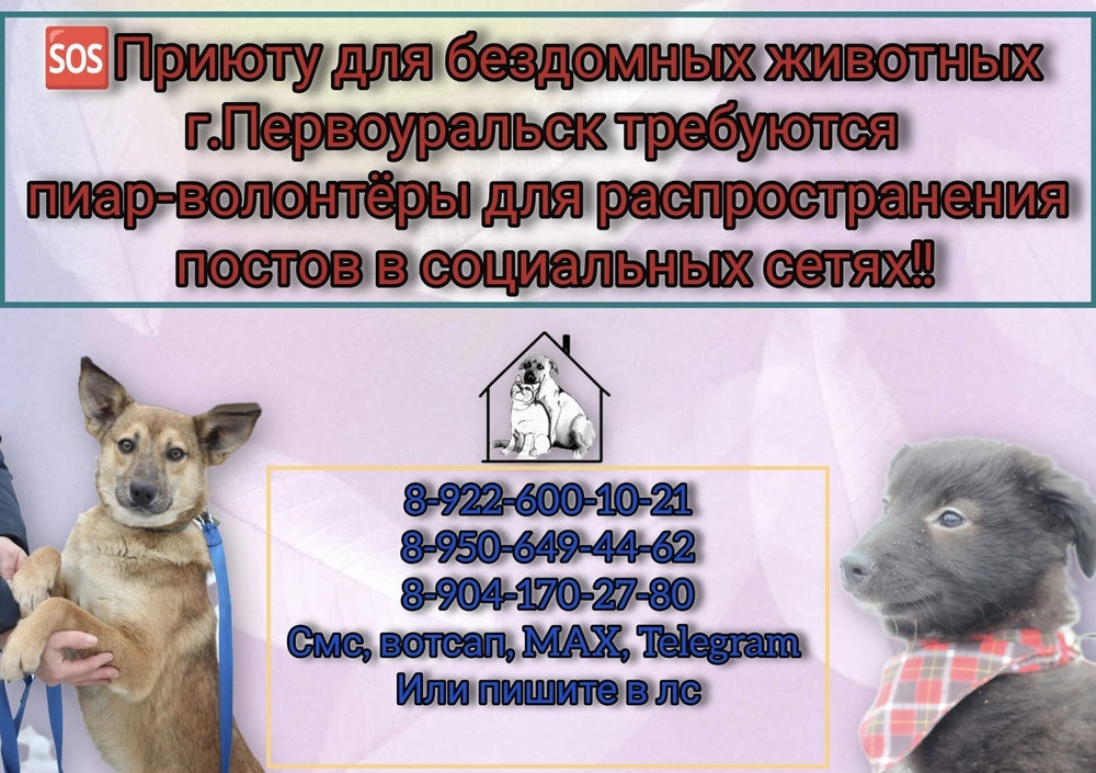 fGN2BOOiAK9bPKHr2vJV40HisObBecyXQ96xGYyS