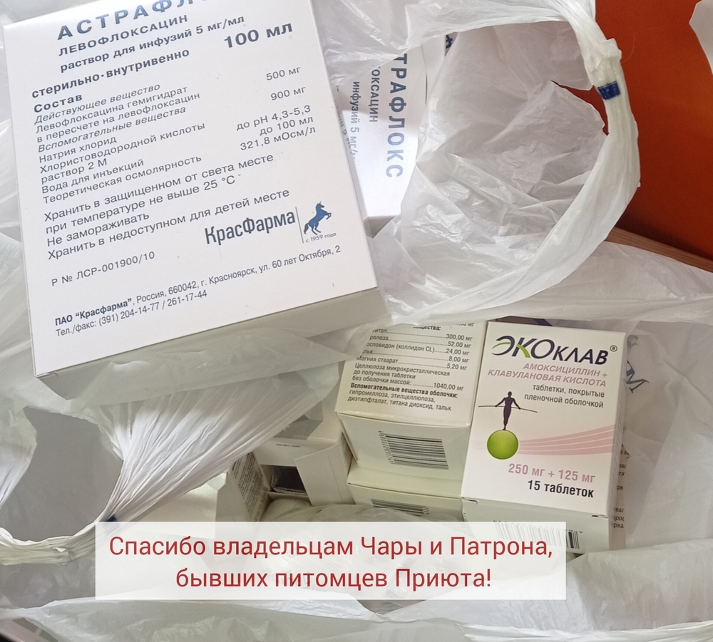 b0GOsEwePTap-P01G5mFY-uvl9a-AwpDEXMUAU1q