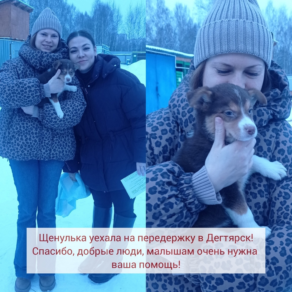 fXgK-M8GWiO9VycxuyLjCRhYWNm-KSZq0mU8XJA8