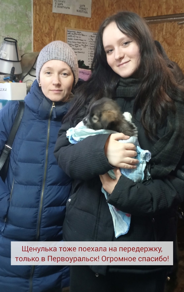 orlY4e1t8NPuWKeXAlBkVixHdQ84DzBDUPw9IhDg