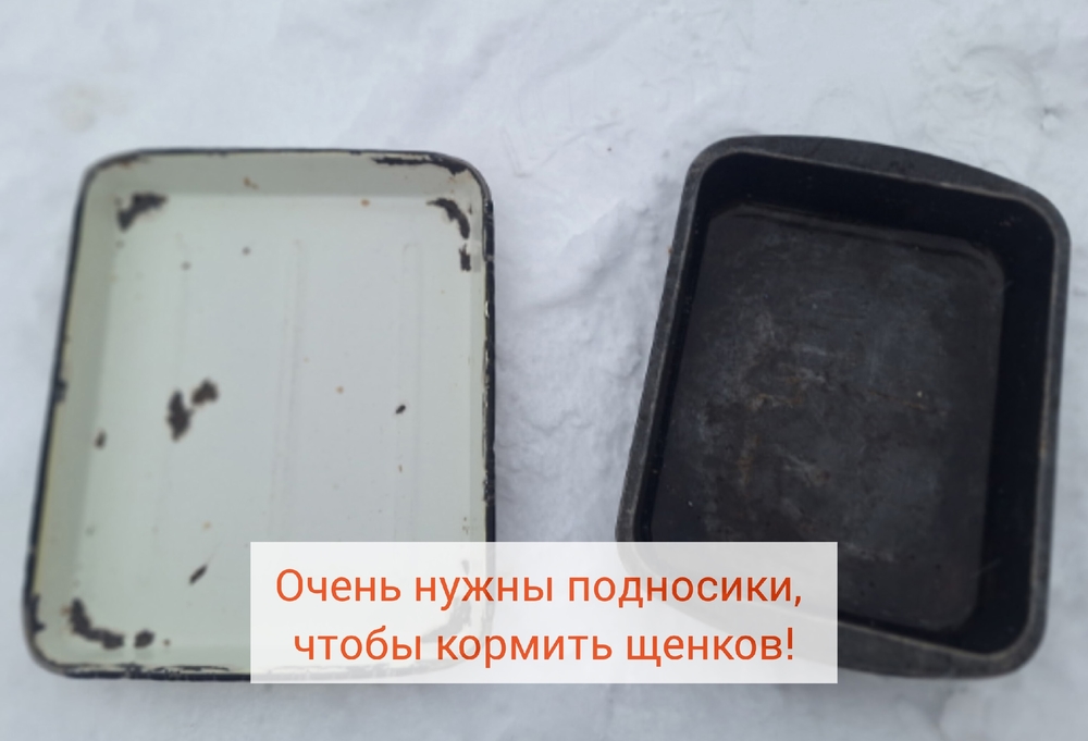 dokTtXQVBgGgRJEVxZXQo-Jp6658TmQUWUTIMXRe