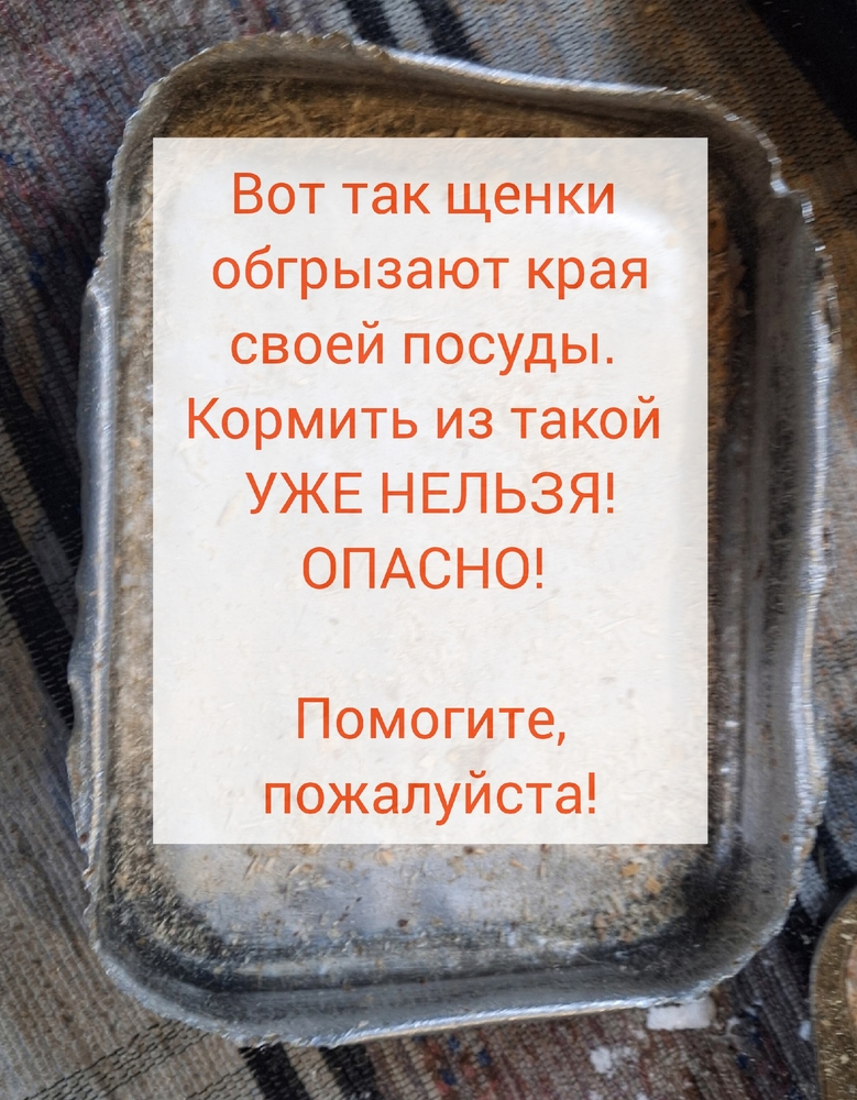 tZdIWpL8hXLBH9YBq3alvMwaTEUiNyBv6pyn5V2C