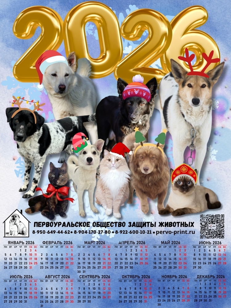 Al1d68q48zYKMsVMleO1dR35N3wsVtcOwXqDJHwt