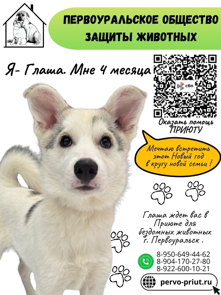 jvuynlCm6ERVCfBcggU-rSbRh2E-HaRatERziYgy