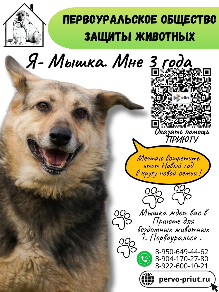 RIRPSV-1Oj43uCFi5OKyhfrAD-VKS8aSPm3CZI_M