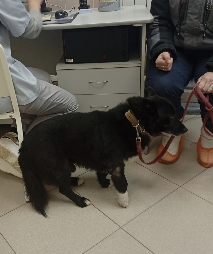 8RttYhUyG8-6mMnWXbABQ8ZHDkqp79U98t7rNjQ9