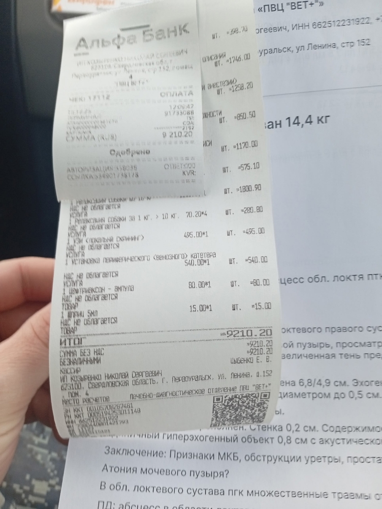 Gl9HG0txqxYoyRcN-A1QX0BASUL6hY89PatCRGxh