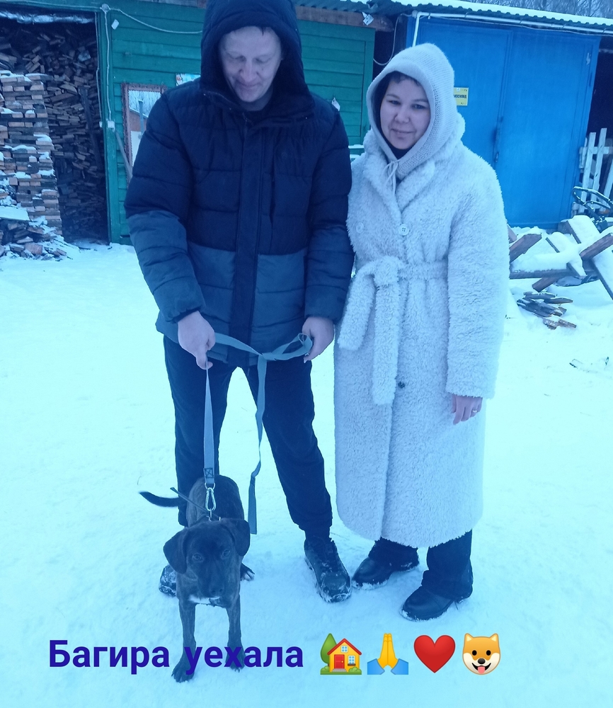 ACAUvrMTateEpx9F6GHY7ycXYK0MitaHajEz1Few