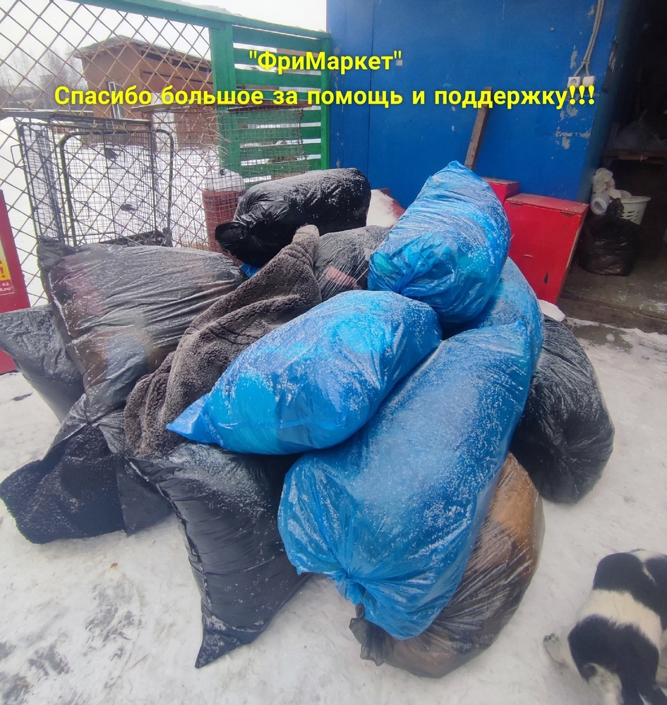 GBm7nsb-5Eb0hL5WfLoj2dtzmqAzX26Qbo22p4ax