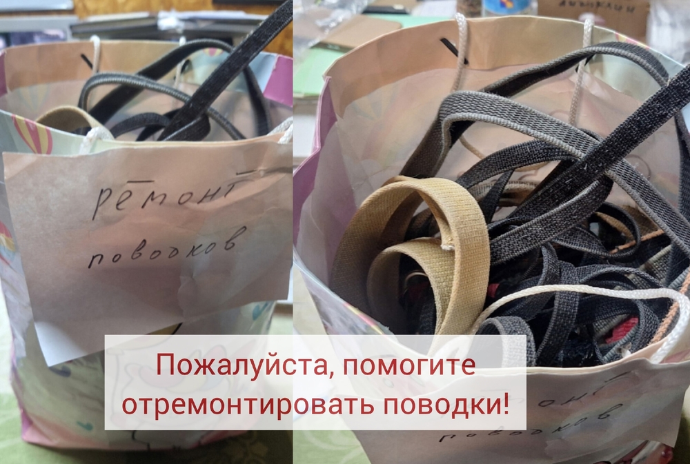 wFQMqRjxK4N7tIeXFVOC8JAOl7lZqwGMULJuLX9u