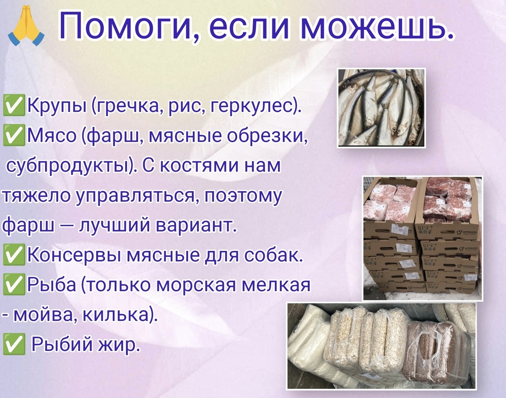 hCd64znPfh_lY868tB6dPNhV2ce5gndYUDYOC8NE