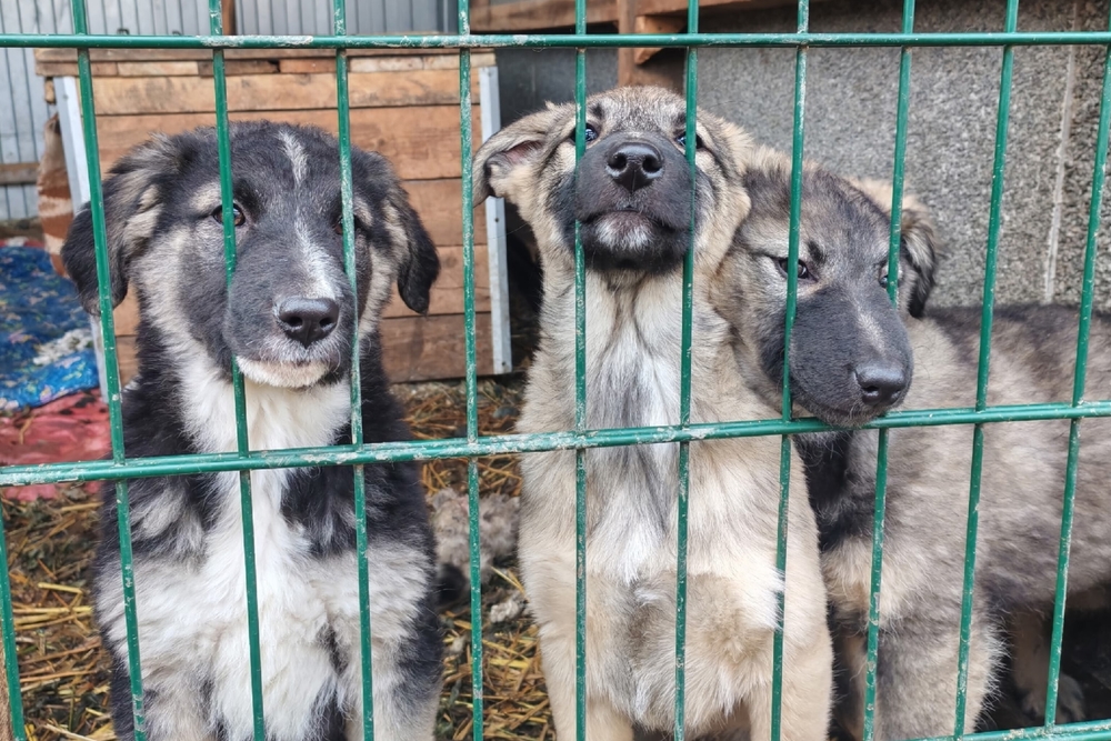 hkZCidQGJgLfW5LSKuPjmcX7leNfiF6sVyh3vNbA