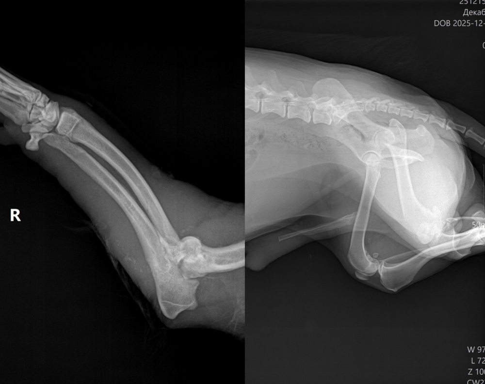 1wZ3VeAKYlrRyEdzAClY-ctuso2fvTUteRnYqGb6