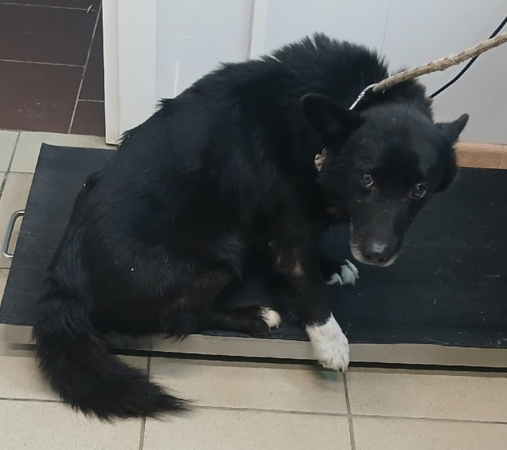 8Td_XRroLGVspgCJCCYW1eXsbQaabkHxW8NQHfZw