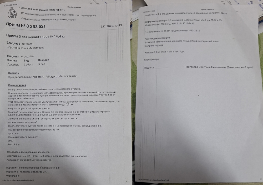 sKJB4MbN_Hd2rhSOArGMNqDUbtu_WpVIXDRumCaA