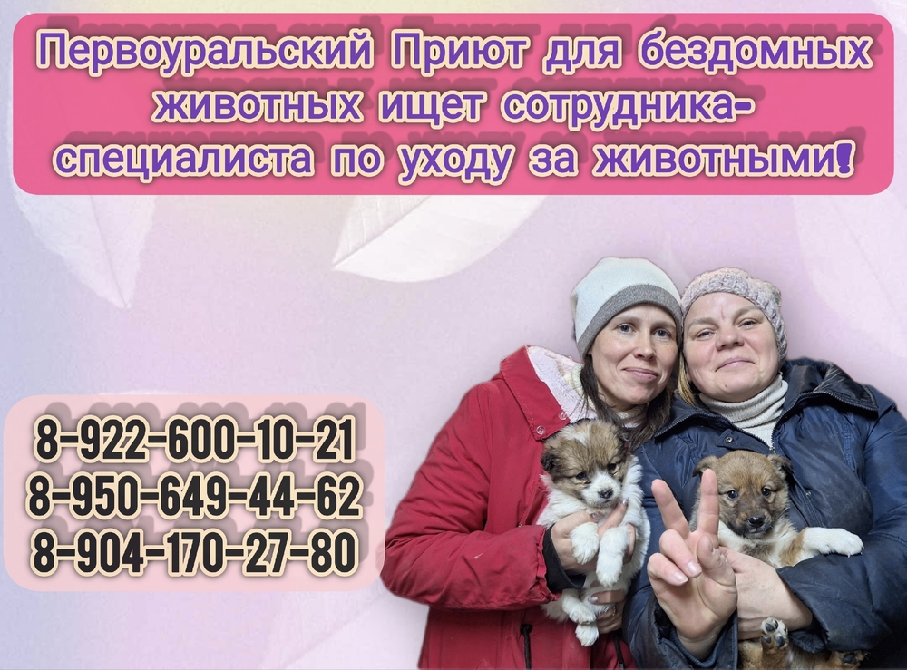 _xfu5KPF-4J19vK9VDbKuv65hIRwiTbQoi-tFQnV