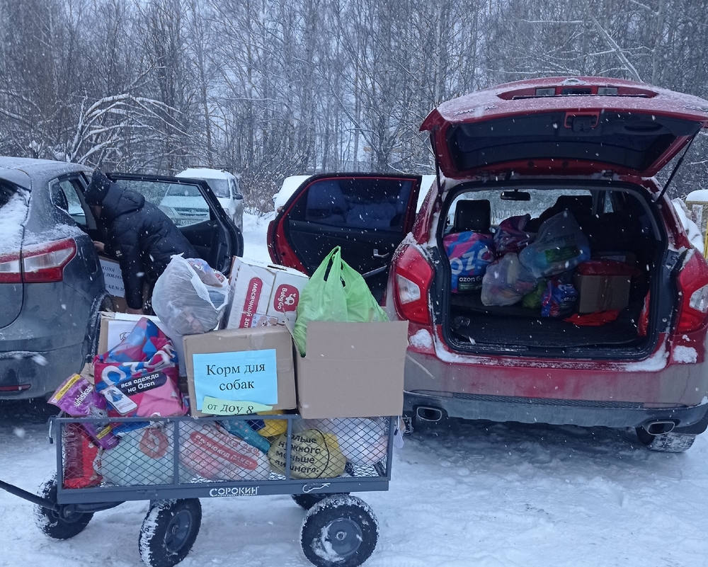 s3B39qqEn0h0O79gwZNLIt3qkgIYD1zodpRdOWKn