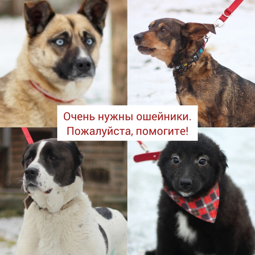 l7zPmxE2nXDpeTFiChYSHnrgwrjEth-WC5a2-agy