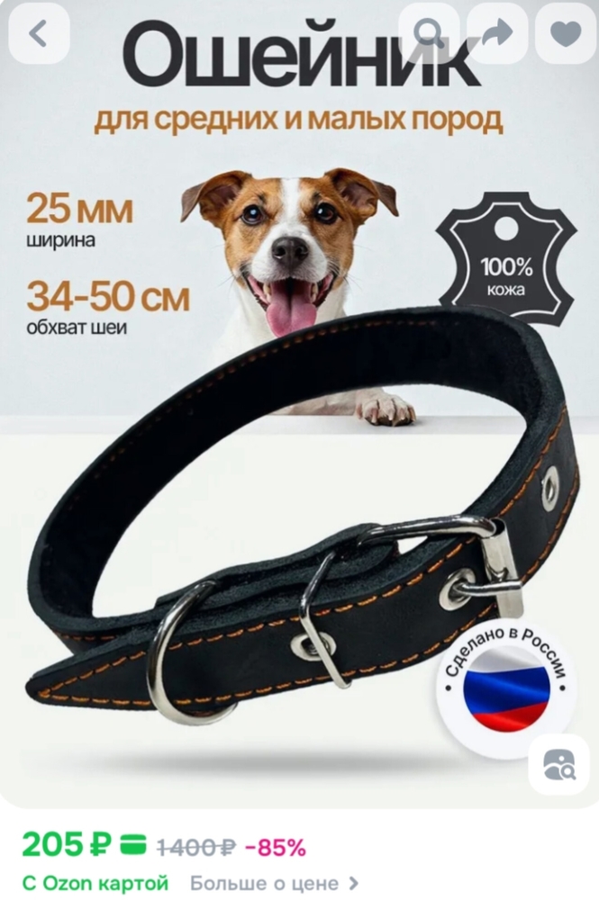 qpE6zMVZEJYMPCzZhisM46J46UQzGx8X1kscCsQY