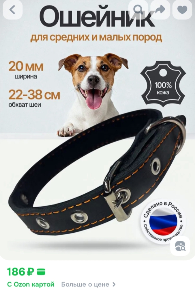 Tw1gzbg09JMr7quhF-KCxTI4weHi0WdqfW-1mkTs